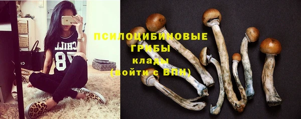 не бодяженный Бронницы