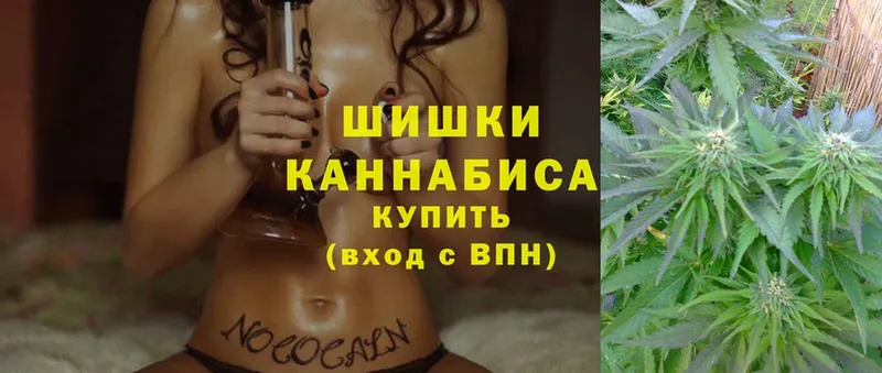 как найти закладки  Будённовск  Конопля SATIVA & INDICA 